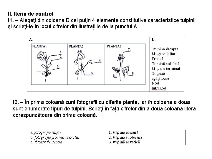 II. Itemi de control I 1. – Alegeţi din coloana B cel puţin 4