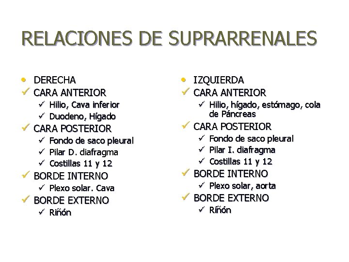 RELACIONES DE SUPRARRENALES • DERECHA ü CARA ANTERIOR ü Hilio, Cava inferior ü Duodeno,