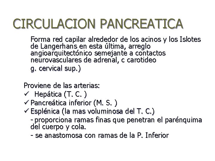 CIRCULACION PANCREATICA Forma red capilar alrededor de los acinos y los Islotes de Langerhans
