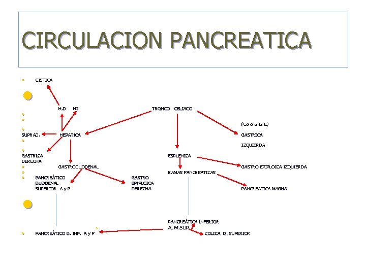 CIRCULACION PANCREATICA • • CISTICA H. D • • HI TRONCO CELIACO (Coronaria E)