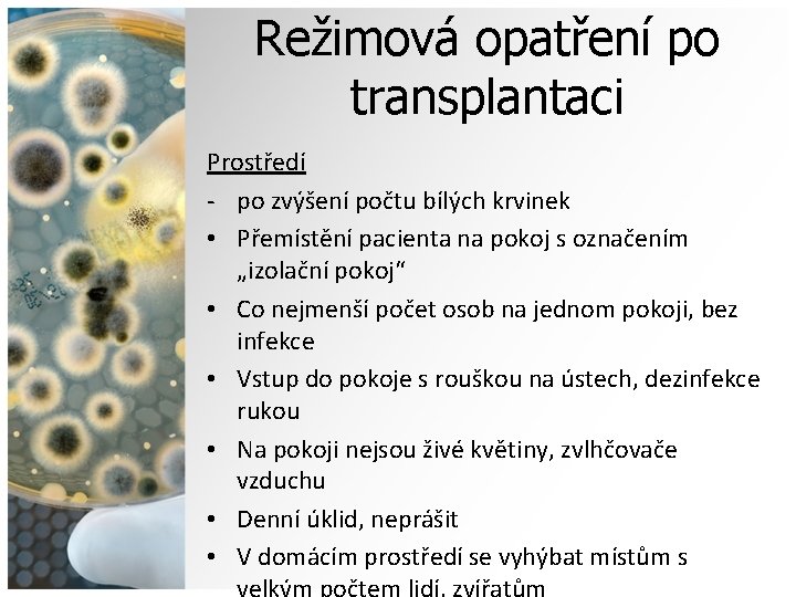 Režimová opatření po transplantaci Prostředí - po zvýšení počtu bílých krvinek • Přemístění pacienta