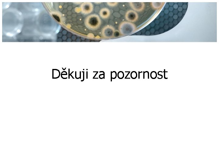 Děkuji za pozornost 