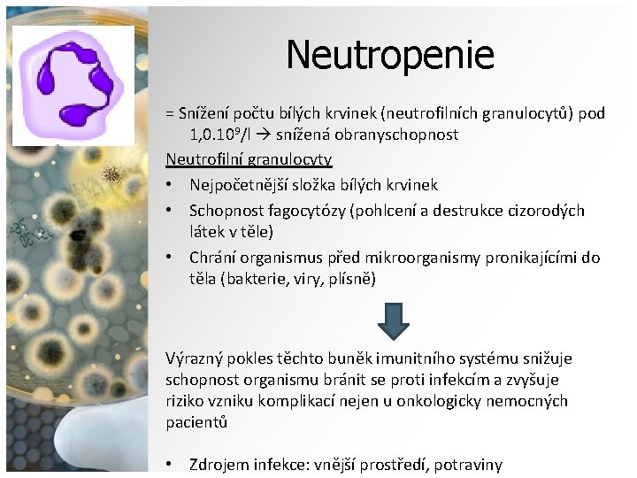 Neutropenie = Snížení počtu bílých krvinek (neutrofilních granulocytů) pod 1, 0. 109/l snížená obranyschopnost
