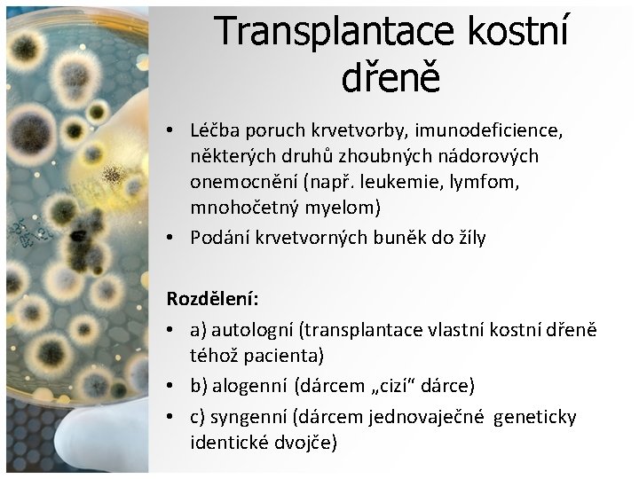 Transplantace kostní dřeně • Léčba poruch krvetvorby, imunodeficience, některých druhů zhoubných nádorových onemocnění (např.