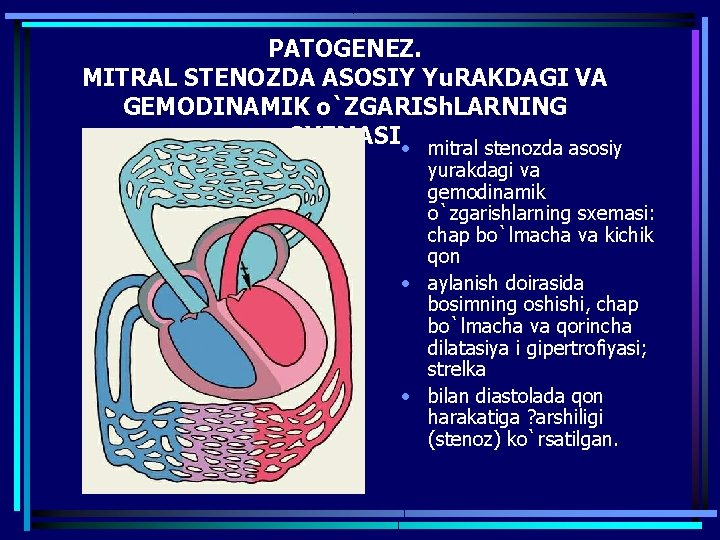 PATOGENEZ. MITRAL STENOZDA ASOSIY Yu. RAKDAGI VA GEMODINAMIK o`ZGARISh. LARNING SXEMASI • mitral stenozda