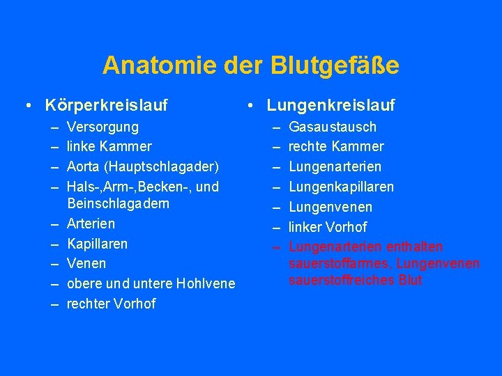 Anatomie der Blutgefäße • Körperkreislauf – – – – – Versorgung linke Kammer Aorta