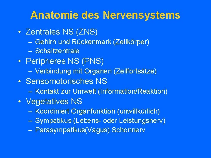 Anatomie des Nervensystems • Zentrales NS (ZNS) – Gehirn und Rückenmark (Zellkörper) – Schaltzentrale