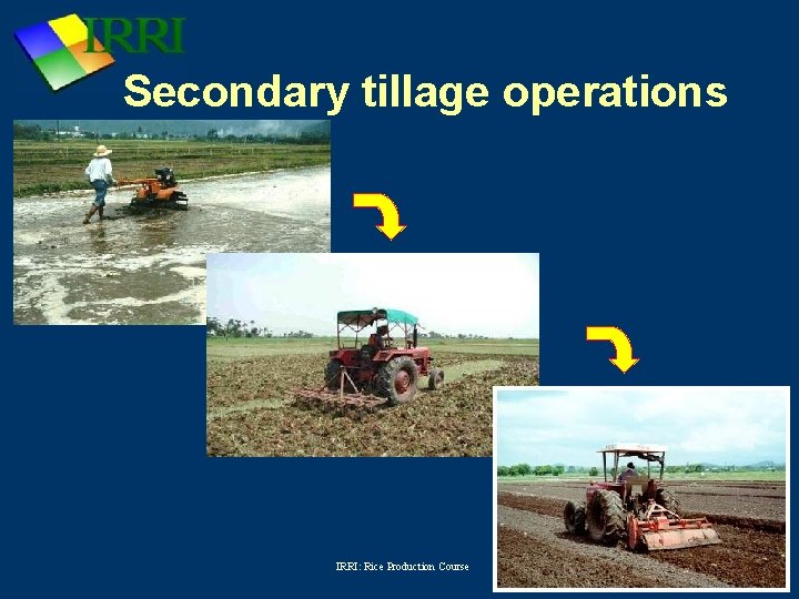 Secondary tillage operations IRRI: Rice Production Course 