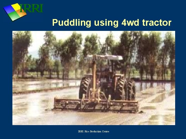 Puddling using 4 wd tractor IRRI: Rice Production Course 