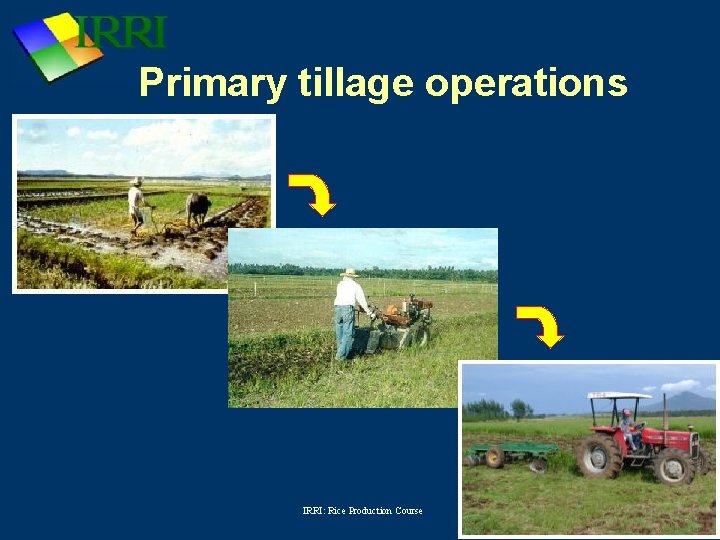 Primary tillage operations IRRI: Rice Production Course 