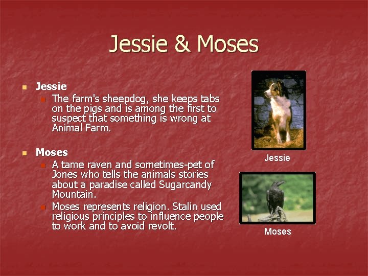 Jessie & Moses n n Jessie n The farm's sheepdog, she keeps tabs on