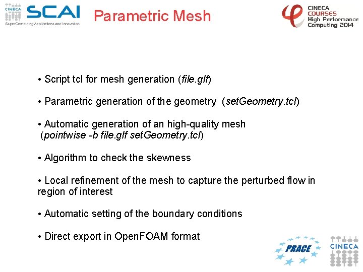 Parametric Mesh • Script tcl for mesh generation (file. glf) • Parametric generation of