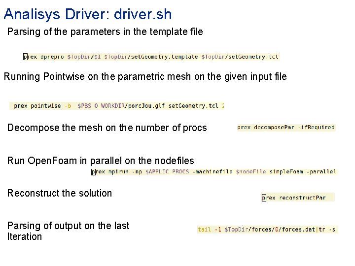 Analisys Driver: driver. sh Parsing of the parameters in the template file Running Pointwise