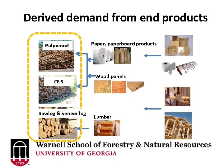 Derived demand from end products Pulpwood CNS Sawlog & veneer log Paper, paperboard products