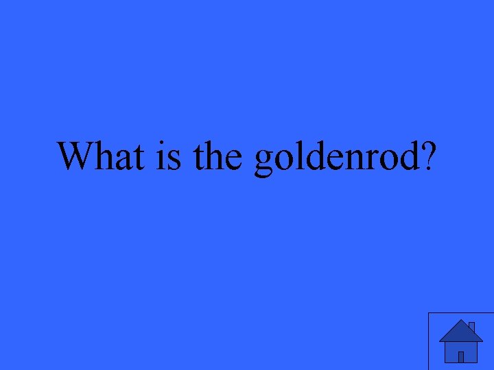 What is the goldenrod? 