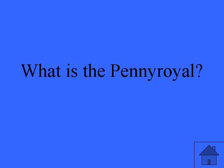 What is the Pennyroyal? 