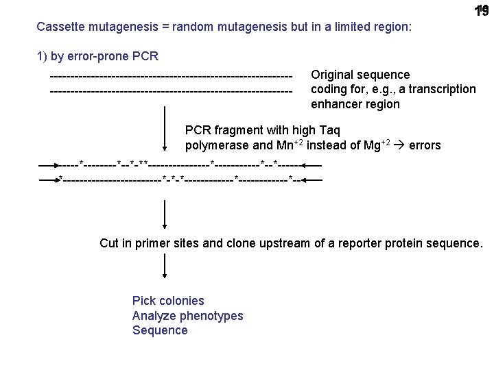 19 19 Cassette mutagenesis = random mutagenesis but in a limited region: 1) by