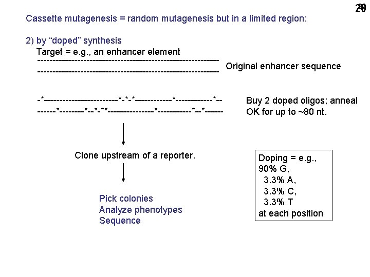 Cassette mutagenesis = random mutagenesis but in a limited region: 20 20 2) by