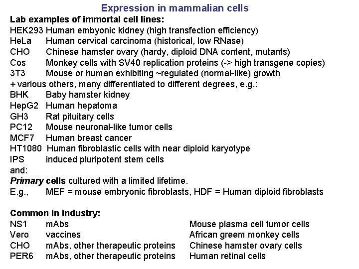 Expression in mammalian cells Lab examples of immortal cell lines: HEK 293 Human embyonic