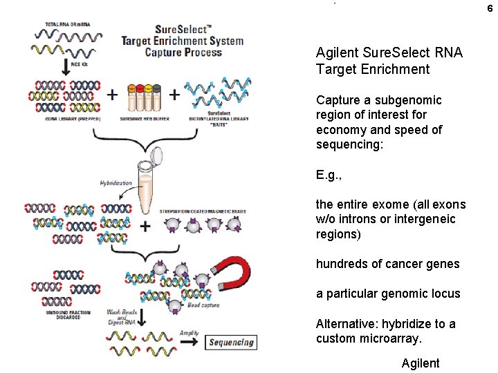 6 Agilent Sure. Select RNA Target Enrichment Capture a subgenomic region of interest for