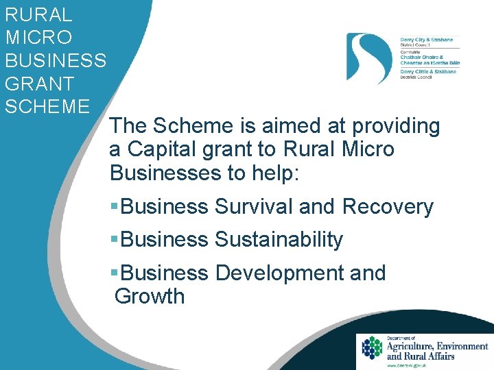 RURAL MICRO BUSINESS GRANT SCHEME The Scheme is aimed at providing a Capital grant