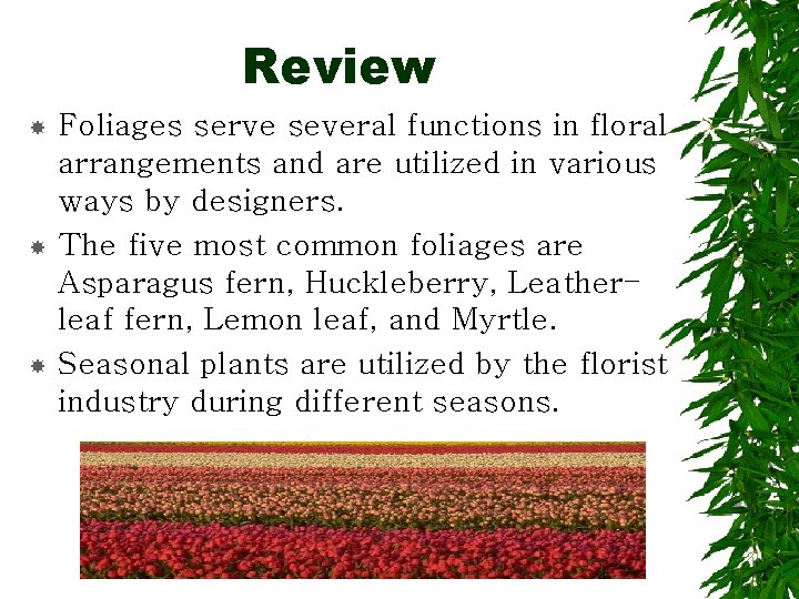 Review Foliages serve several functions in floral arrangements and are utilized in various ways