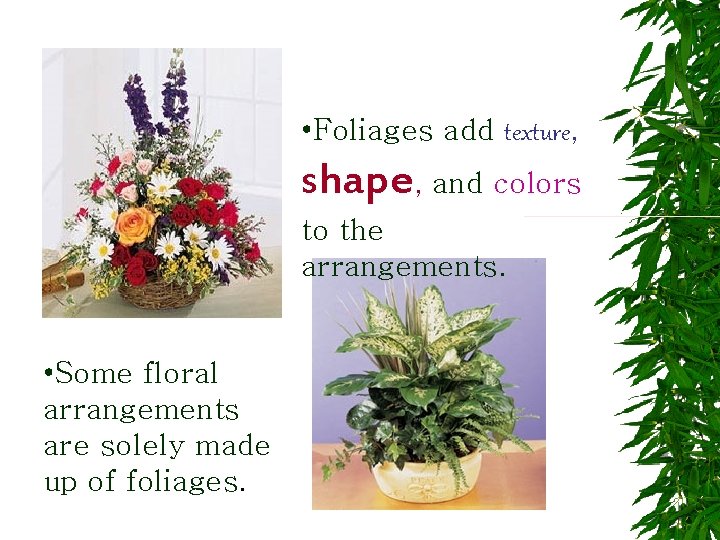  • Foliages add texture, shape, and colors to the arrangements. • Some floral