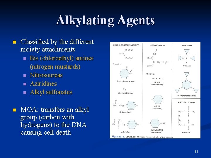 Alkylating Agents n Classified by the different moiety attachments n n n Bis (chloroethyl)