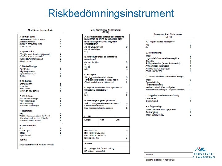 Riskbedömningsinstrument 