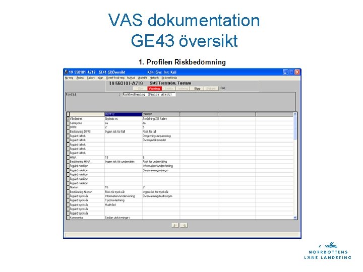 VAS dokumentation GE 43 översikt 