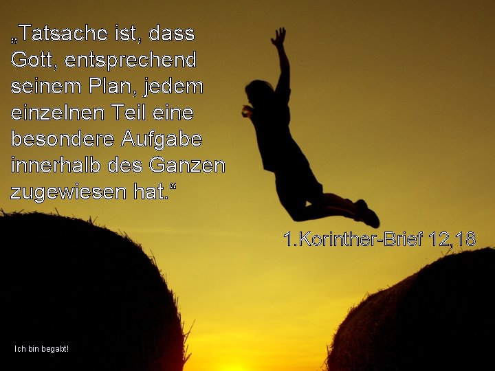 „Tatsache ist, dass Gott, entsprechend seinem Plan, jedem einzelnen Teil eine besondere Aufgabe innerhalb