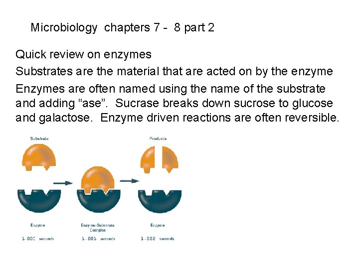 Microbiology chapters 7 - 8 part 2 Quick review on enzymes Substrates are the