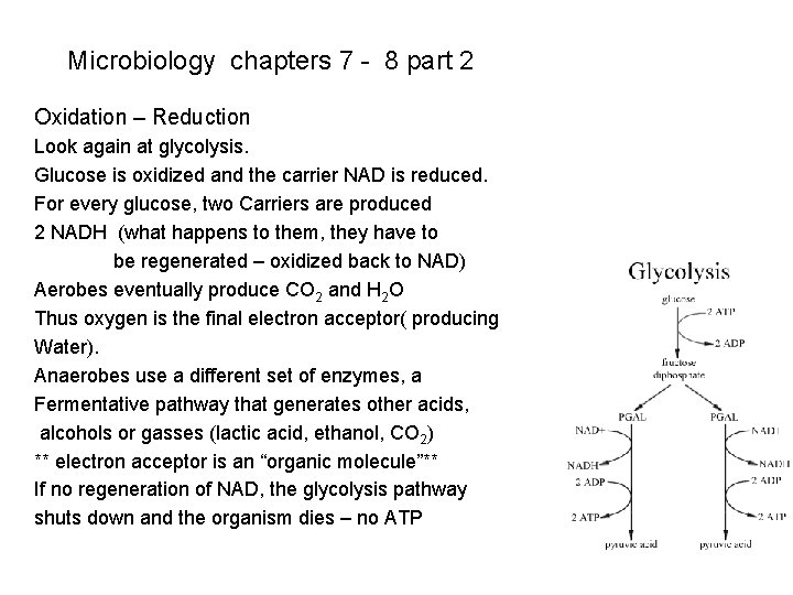 Microbiology chapters 7 - 8 part 2 Oxidation – Reduction Look again at glycolysis. Microbiology chapters 7 - 8 part 2 Oxidation – Reduction Look again at glycolysis.