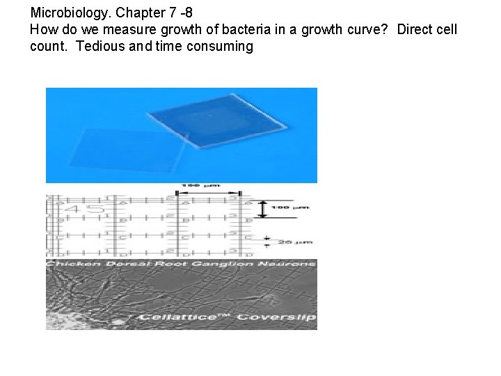 Microbiology. Chapter 7 -8 How do we measure growth of bacteria in a growth