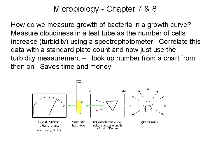 Microbiology - Chapter 7 & 8 How do we measure growth of bacteria in