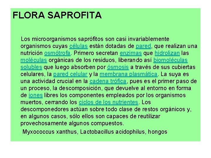 FLORA SAPROFITA Los microorganismos saprófitos son casi invariablemente organismos cuyas células están dotadas de