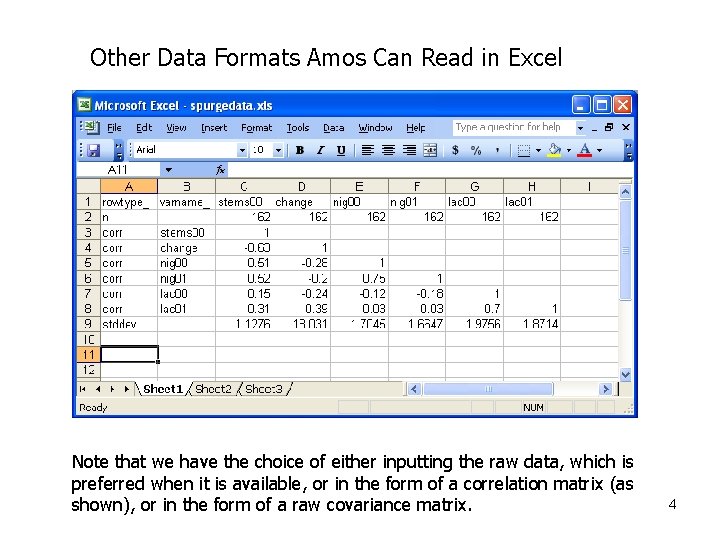 Other Data Formats Amos Can Read in Excel Note that we have the choice