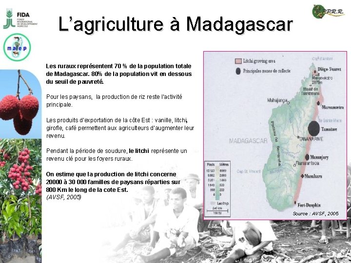 L’agriculture à Madagascar Les ruraux représentent 70 % de la population totale de Madagascar.