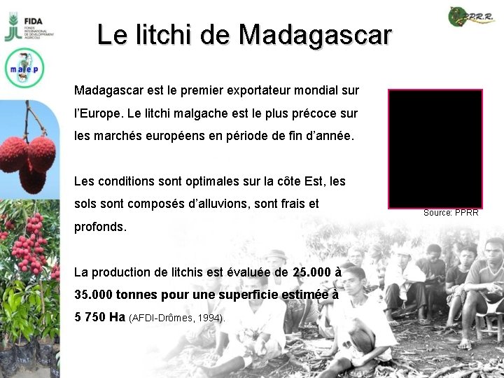 Le litchi de Madagascar est le premier exportateur mondial sur l’Europe. Le litchi malgache