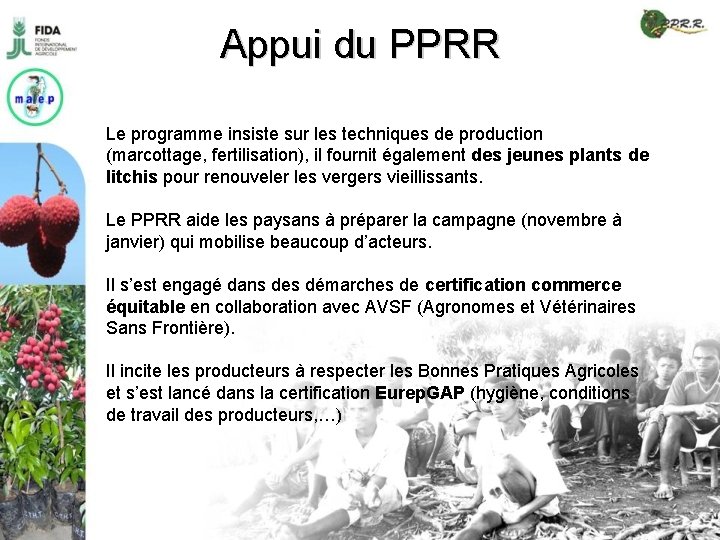 Appui du PPRR Le programme insiste sur les techniques de production (marcottage, fertilisation), il