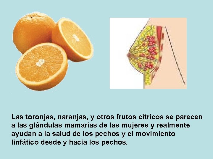 Las toronjas, naranjas, y otros frutos cítricos se parecen a las glándulas mamarias de
