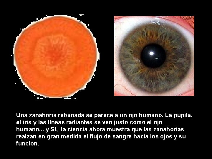 Una zanahoria rebanada se parece a un ojo humano. La pupila, el iris y