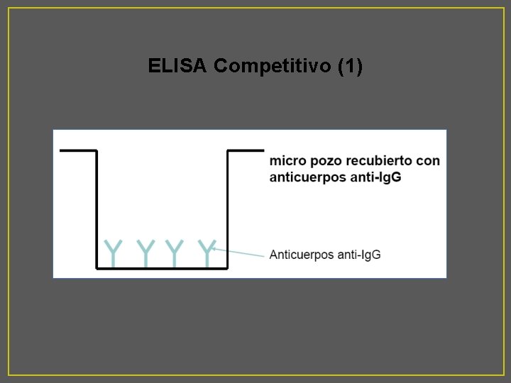 ELISA Competitivo (1) 