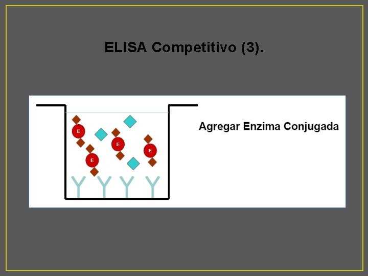 ELISA Competitivo (3). 