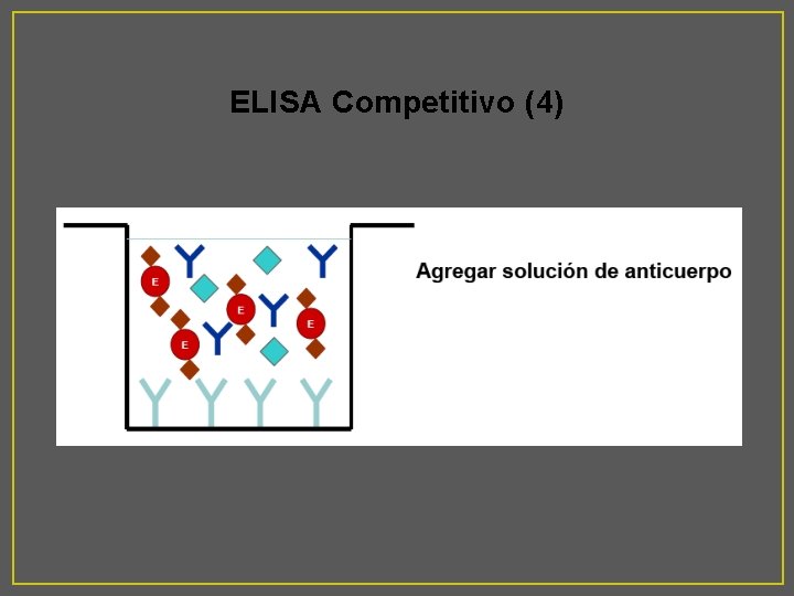 ELISA Competitivo (4) 