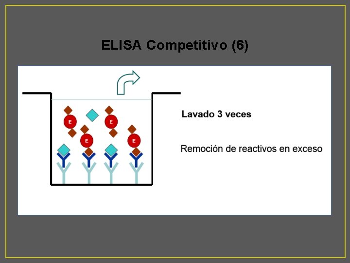 ELISA Competitivo (6) 