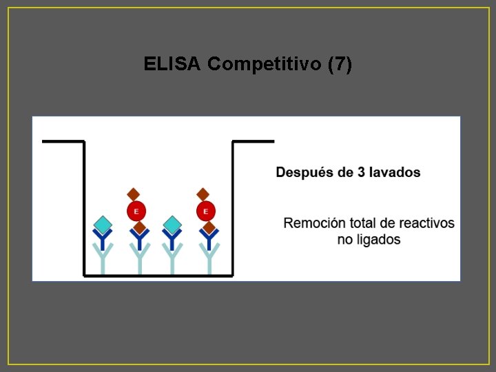 ELISA Competitivo (7) 