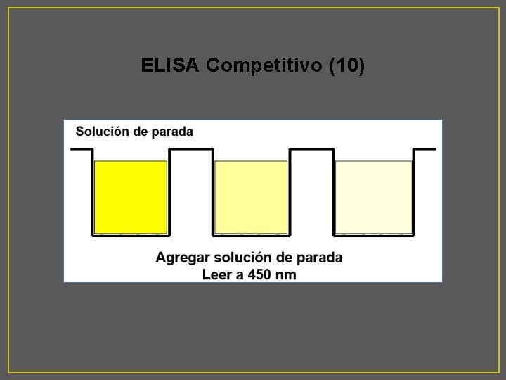 ELISA Competitivo (10) 