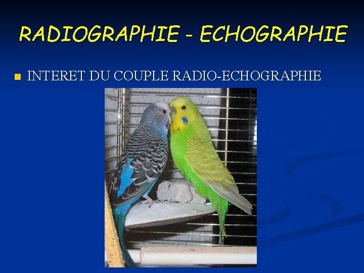 RADIOGRAPHIE - ECHOGRAPHIE n INTERET DU COUPLE RADIO-ECHOGRAPHIE 