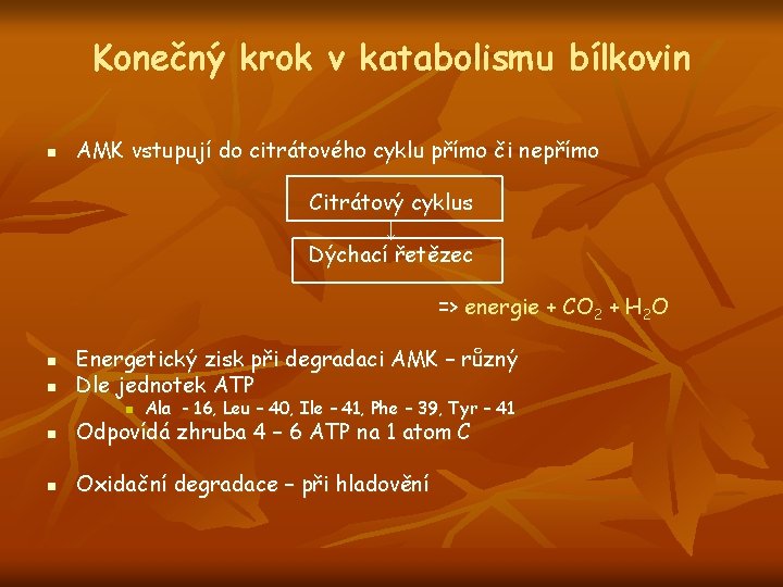 Konečný krok v katabolismu bílkovin n AMK vstupují do citrátového cyklu přímo či nepřímo